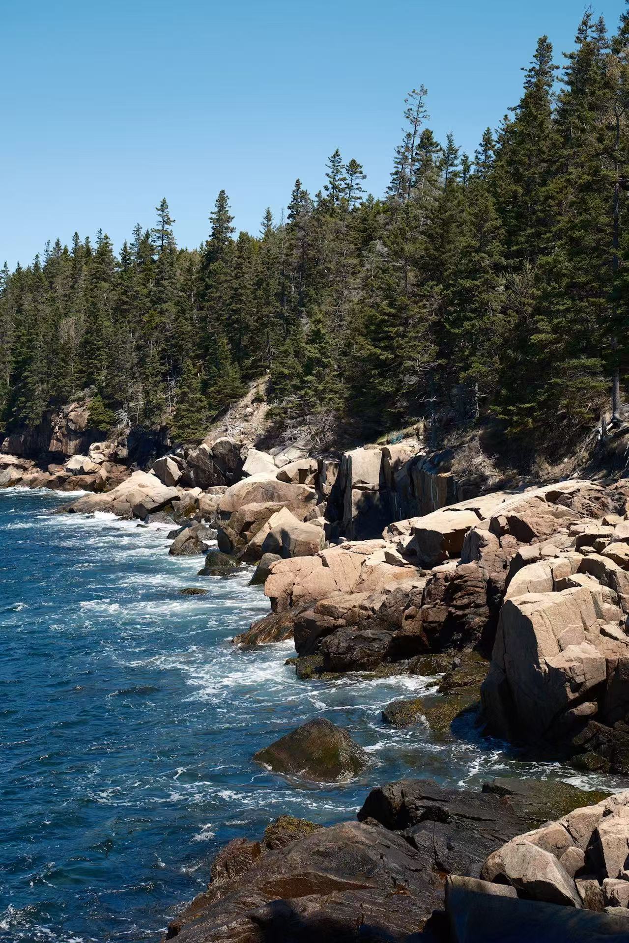 Coast, Acadia