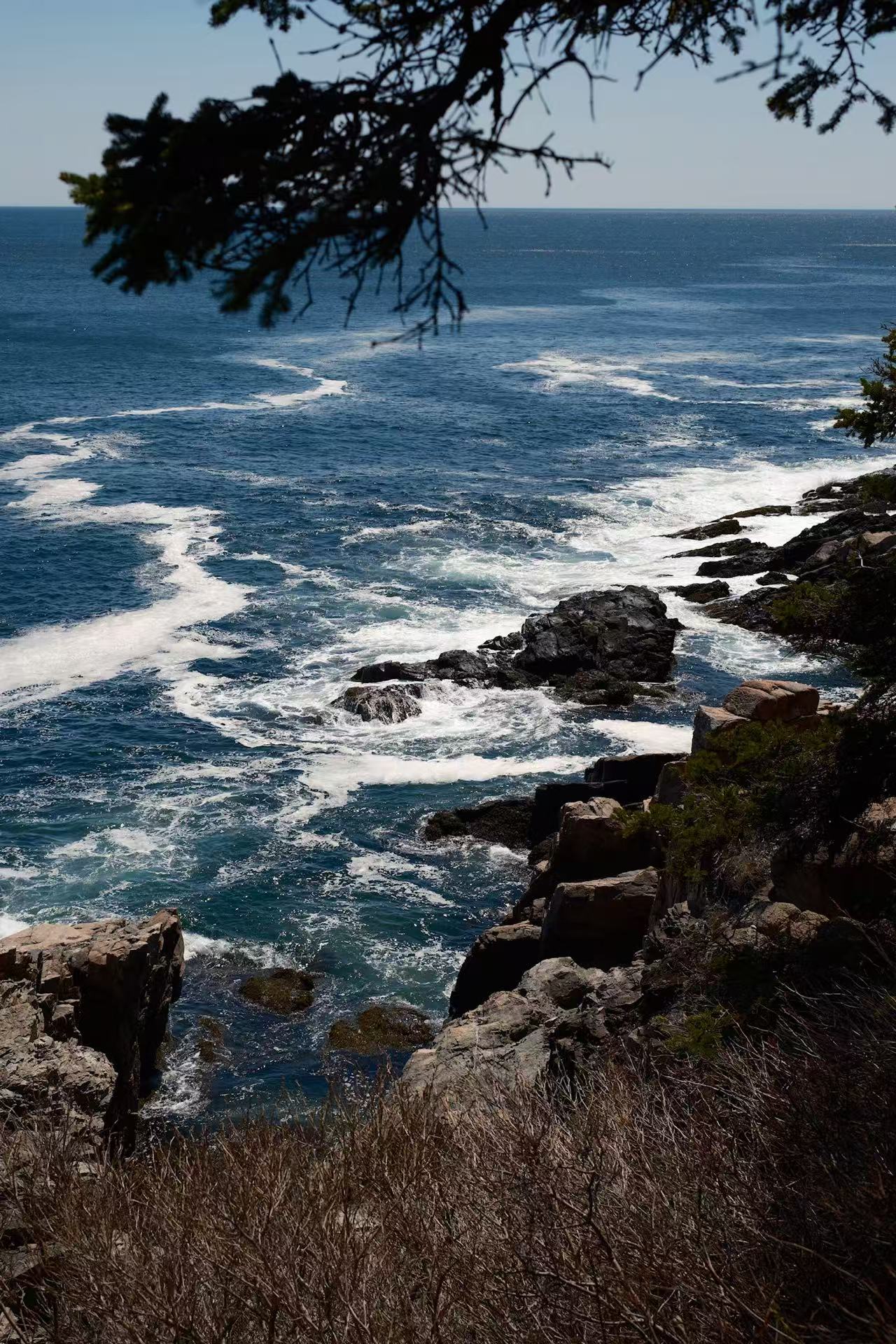 Coast, Acadia