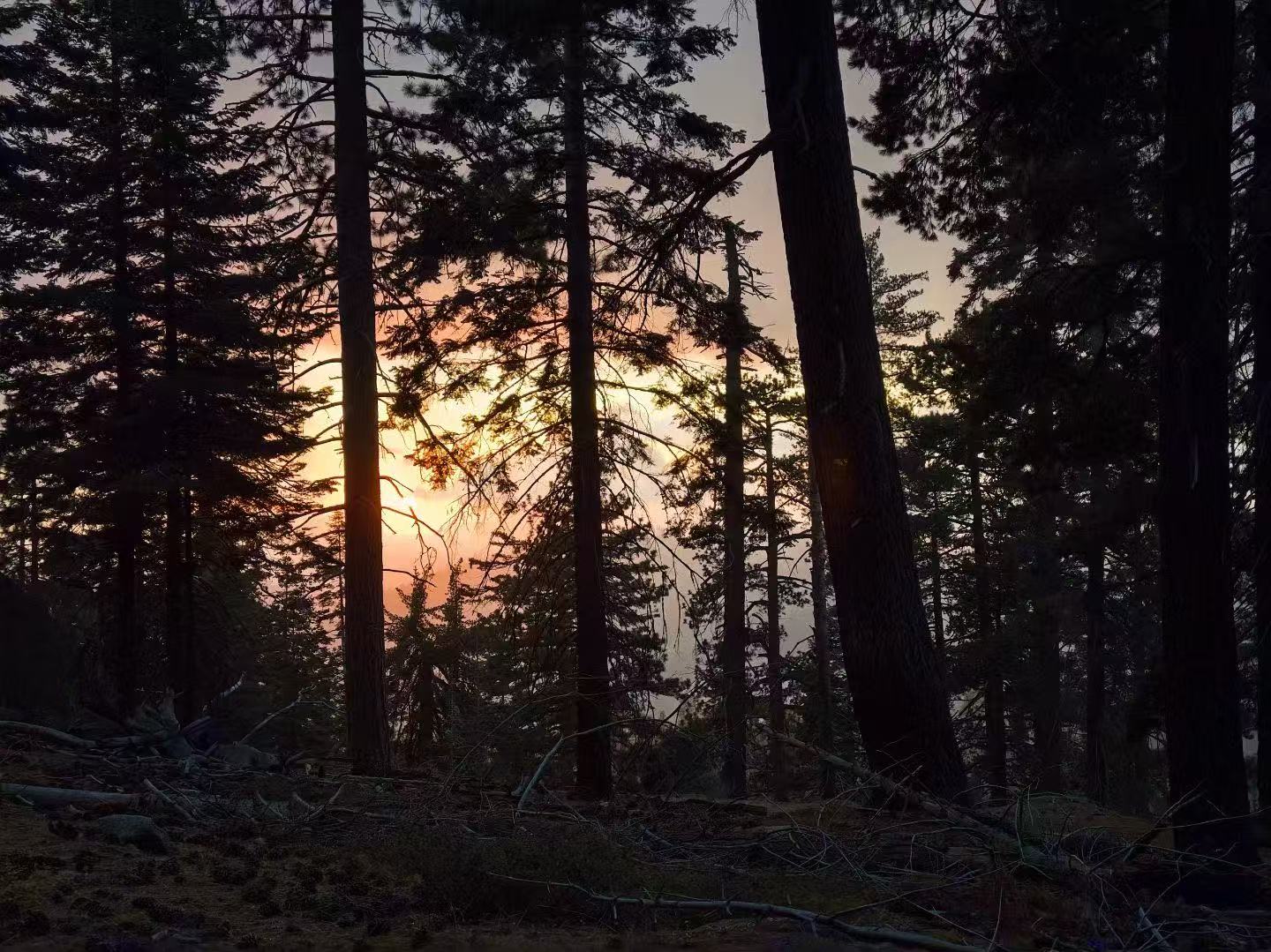 king canyon, Los Angeles